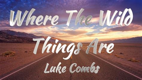 luke combs where the wild things are lyrics